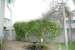 種その23　噴水周りの小庭・植木の話