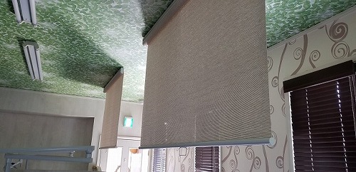 その種39　ちょっとした目隠しに？